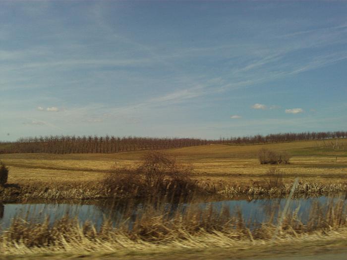 FILE0041